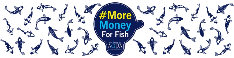 Join Our Campaign #MoreMoneyForFish